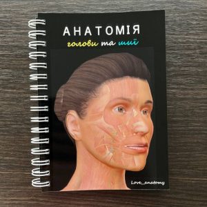 Посібник з анатомії голови та шиї
